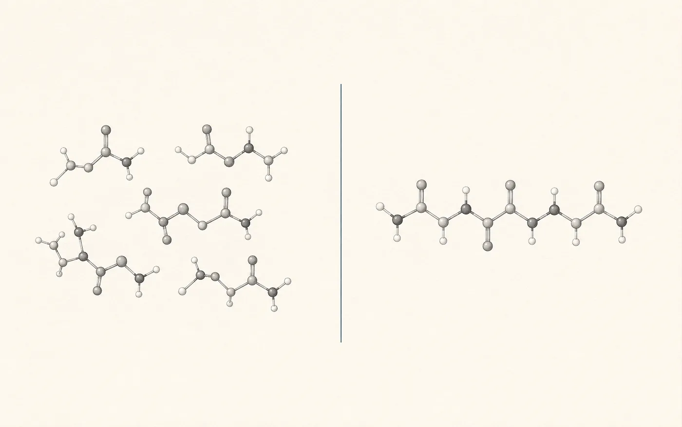 Illustration comparing a cluster of short peptide fragments with a single short peptide chain