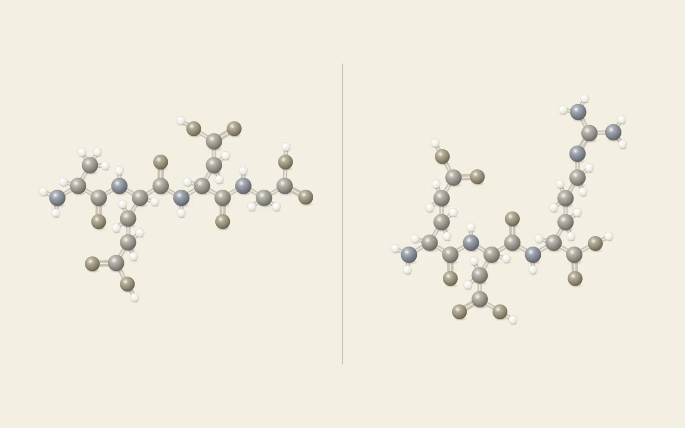 Ball-and-stick structural diagrams drawn at one shared scale: Epitalon, the tetrapeptide Ala-Glu-Asp-Gly, beside Pinealon, the tripeptide Glu-Asp-Arg