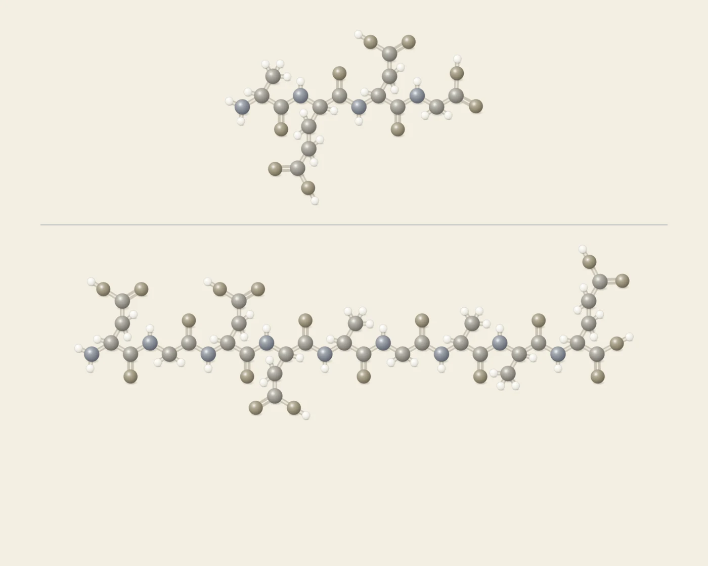 Ball-and-stick comparison drawn at one scale: Epitalon, a four amino acid bioregulator, above a nine amino acid peptide chain, showing the difference in length