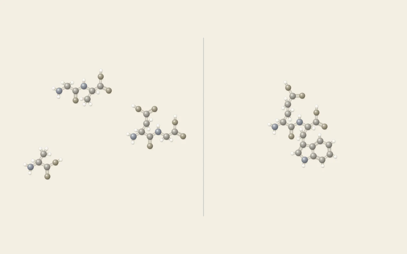 Ball-and-stick figure: on the left, separate short peptide fragments standing for Thymalin, an organ-derived extract with no single structure; on the right, the structural diagram of Thymogen, the dipeptide Glu-Trp
