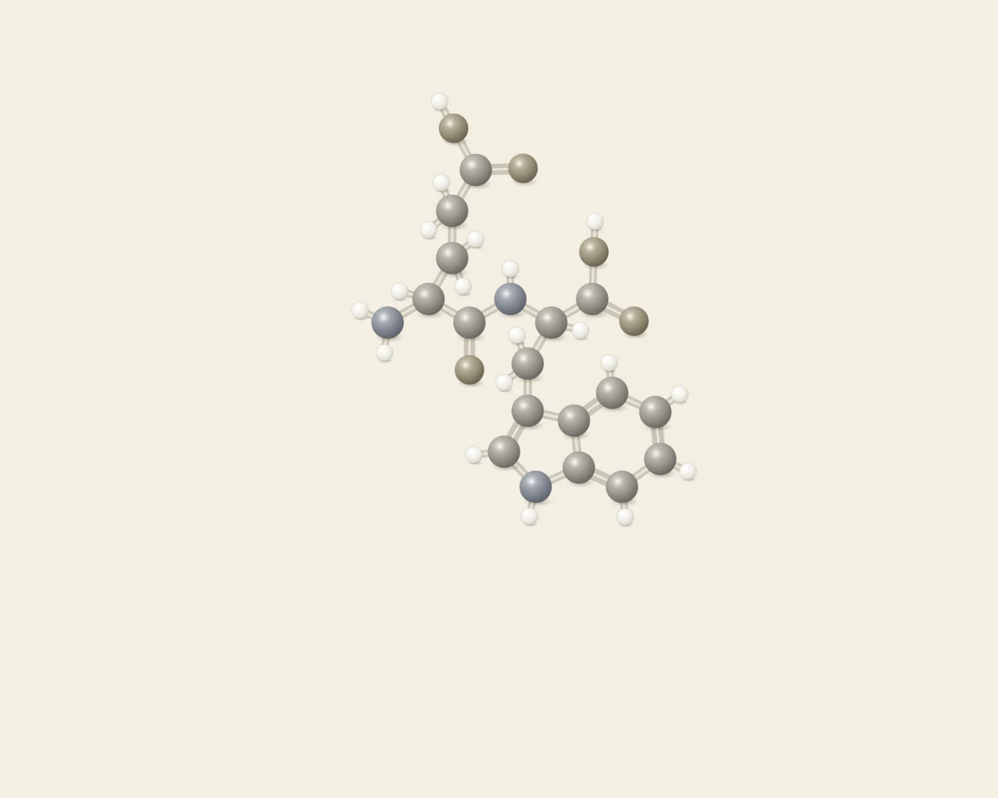 Ball-and-stick structural diagram of Thymogen, the peptide Glu-Trp (EW)